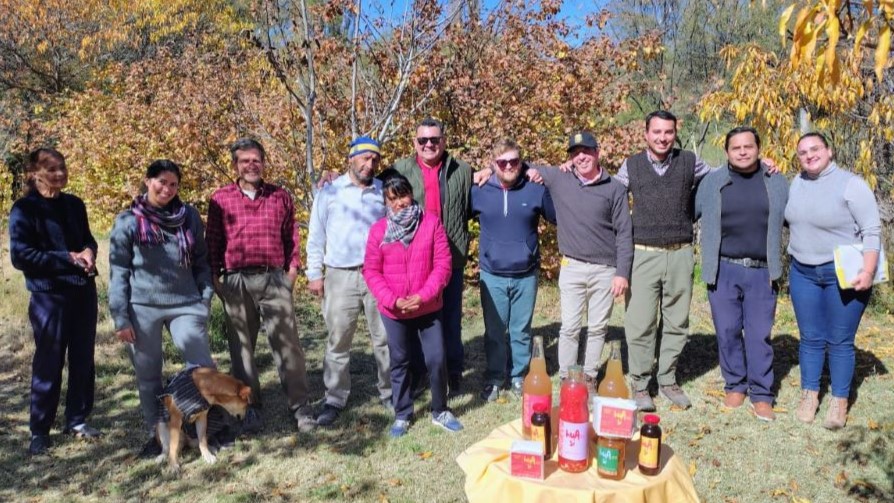 Hidroponia del Valle